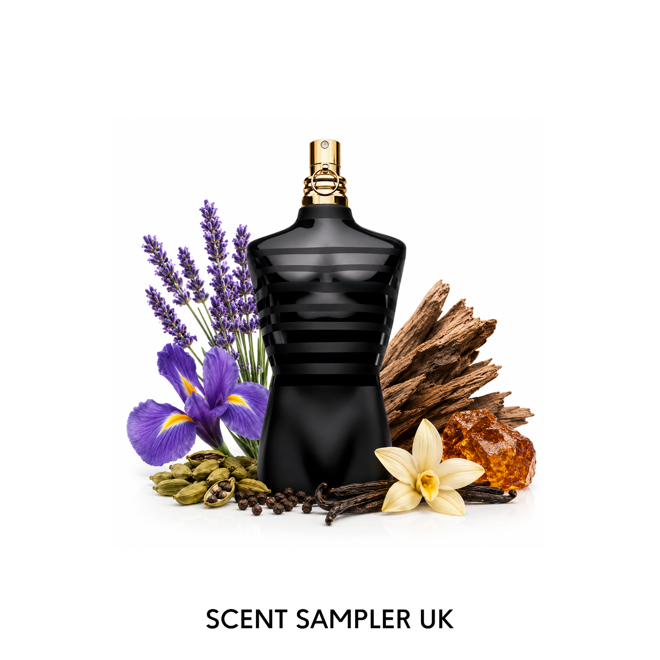 Le Male Le Parfum by Jean Paul Gaultier